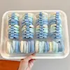 Goma para el pelo azul sal marina de verano para niños, Cuerda elástica alta para coleta, Accesorio simple y elegante para coleta alta