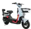 Bicicleta Elétrica 48V 25Ah Longa Distância - Bateria de Lítio Removível