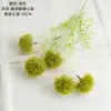 Flores Artificiales y Plantas Verdes de Diente de León Winona Venta al por Mayor Decoración de Bodas Manualidades Estilo Ins Fabricante Transfronterizo Flores Falsas