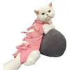 Ropa de Esterilización para Gatos Transfronteriza, Ropa de Recuperación Postoperatoria Anti-Lamido para Gatos Macho, Ropa para Destete de Gatos Hembras, Ropa Elástica de Esterilización, Al por Mayor en Stock