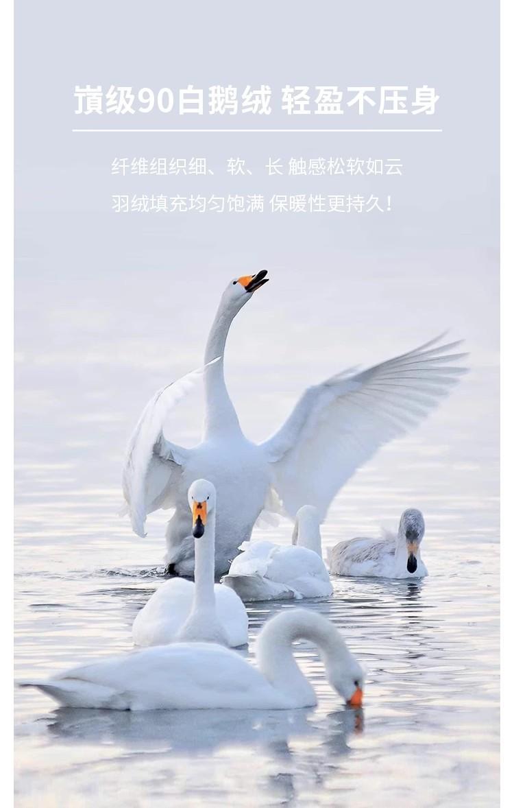 鹅绒 (1).jpg