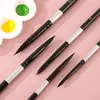 Set de Plumas de Acuarela Cisne Negro Transfronterizo, Plumas de Acuarela para Arte, Plumas de Pintura Redondas de Cerdas Suaves de Nylon, Plumas Redondas para Pintura al Óleo Digital