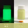 Tinta Acrílica Fluorescente Pintura Night Glow Pó Fluorescente Tinta Fluorescente Super Brilhante Brilho Duradouro Pintura de Parede Tinta Acrílica