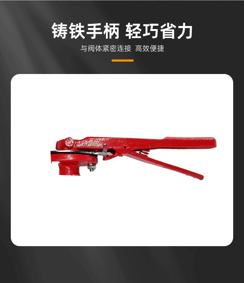 沟槽手柄对夹蝶阀远进 (4).gif