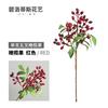 Fruta Mirtilo Americano Fruta Cranberry Único Cinza de Cinco Pontas Fruta Azeitona Adereços de Tiro Decoração de Sala de Modelo