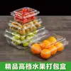 Caixa de Embalagem Descartável para Frutas Caixa Plástica Transparente Caixa de Embalagem para Morango 0,5kg Retangular com Tampa 500g