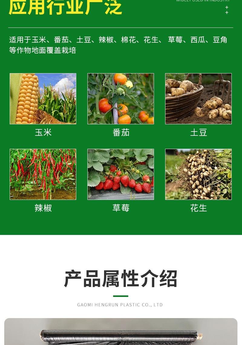 恒润塑料详情6——针眼地膜_003.