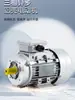 Motor Assíncrono Trifásico YS com Carcaça de Alumínio 2/4 Polos 0,37/0,55/0,75/1,1/1,5/2,2KW Padrão Nacional Completo