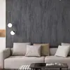 Papel de Parede Moderno Simples Liso Vintage Cinza Cimento Loja de Roupas Sofá Mesa de Cabeceira Parede de Fundo Papel de Parede Estilo Industrial Preto