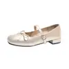 Sapatos de Salto Baixo Exclusivos Franceses 2026 Outono Novo Estilo Feminino Prata Mary Jane Sapatos de Salto Grosso Sapatilhas Sapatos Pequenos de Couro