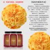 Materiais de Embalagem para Buquês Jemi, Suprimentos para Floristas, Embalagem Floral, Spray Corante à Base de Água, Tinta Spray, Spray para Flores