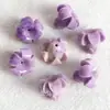 Vários Tipos de Flores Prensadas em Pó de Concha de Furo Reto (Flores de Ameixeira, Flores de Cerejeira, Ipomeias) Materiais e Acessórios para Acessórios de Cabelo Artesanais DIY