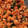 Venta directa de fábrica de flores de hortensia artificiales de color naranja, de un solo tallo con hojas, al por mayor para decoraciones de bodas, disponibles para exportación y ventas transfronterizas