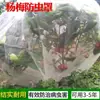Cubierta de Red Elástica Transfronteriza a Prueba de Plantas e Insectos, Barrera de Red para Plagas de Jardín, Cubierta de Protección para Verduras y Frutas, Cubierta de Red a Prueba de Pájaros