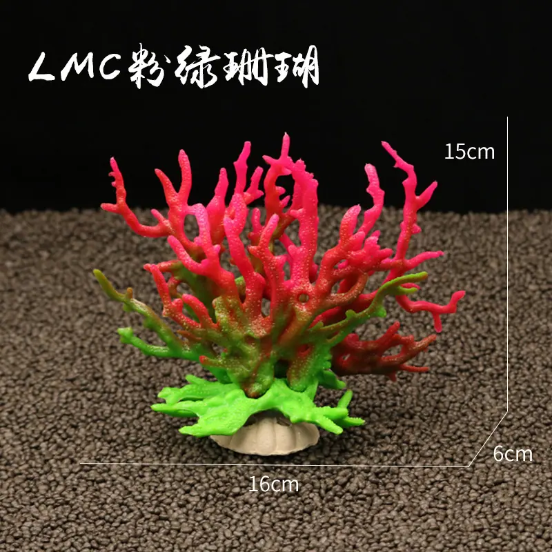 LMC粉绿珊瑚