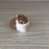Simulación de Conejito Conejito Blanco Adornos Escénicos Adornos Modelo de Animal y Planta Juguetes de Peluche