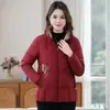 Jaqueta de Algodão Fashion com Gola Alta Feminina Inverno Novo Estilo Roupas Finas de Algodão para Mãe Jaqueta Curta Acolchoada de Algodão Casual para Mulheres de Meia-Idade e Idosas Casaco Feminino