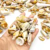 Mix de 44 Conchas de Abalone Acrílicas Naturais Bicolores Pingentes de Vieiras Nuvem Artesanais DIY Colar Pulseira Chaveiro
