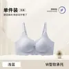 Coleção Rosa Lingerie Feminina para Seios Pequenos, Push-Up, Anti-Queda, Sem Costura, Confortável, Levanta, Sutiã com Costas Bonitas