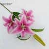 3 lírios impressão 3D sentir filme flores falsas casamento decoração para casa ornamentos paisagismo verde atacado transfronteiriço