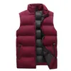 Chaleco Chaqueta Acolchado de Algodón de Color Sólido Otoño e Invierno Estilo Coreano Casual Holgado Chaqueta de Estudiante Chaleco Cálido sin Mangas