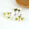 Cabezas de flores simuladas de cinco pétalos para manualidades DIY, decoraciones de flores coloridas, arreglos de pared de flores para bodas, accesorios de flores artificiales al por mayor