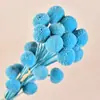 Bolas Doradas del Fabricante, Flores Naturales Reales, Materiales para Manualidades, Decoración del Hogar para la Sala de Estar, Arreglos Florales, Adornos de Flores Secas, Martillos Dorados