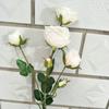 Suministros del Fabricante Flor Artificial Rosa Verde Multicabeza de 6 Puntas Estilo Europeo Rosa Para Posar en la Sala de Estar Artificial Alto