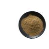Extracto de Angelica Sinensis 10:1 Polvo de Angélica Soluble en Agua, Grado Alimenticio y Medicinal, Polvo Concentrado de Angélica, Materia Prima de Grado Alimenticio, En Stock