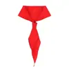 Cachecol Vermelho de Alta Qualidade para Alunos do Ensino Fundamental e Médio, 1,2 Metro, Espessado, Universal para Crianças, Padrão para Ensino Fundamental e Médio, Cachecol Vermelho dos Jovens Pioneiros
