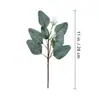 Decoraciones de Boda Esquejes de Hojas de Eucalipto 10 Ramas Cortas Mixtas de Eucalipto con Frutos para Boda DIY Decoración del Hogar Plantas Verdes