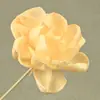 Peonía y Eucalipto Flor Preservada Aromaterapia Material Floral para Decoración del Hogar, Arreglo Floral para Vestíbulo y Oficina