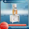 Máquina de Prensagem Servo Universal de Mesa Máquina de Prensagem por Pressão CNC Equipamento Pequeno de Prensagem por Pressão Servo