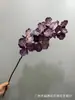 Simulación Hu Ji 7 cabezas Wan Dai orquídea golondrina sentir Phalaenopsis sentir flor artificial arreglo floral de boda decoración del hogar diseño