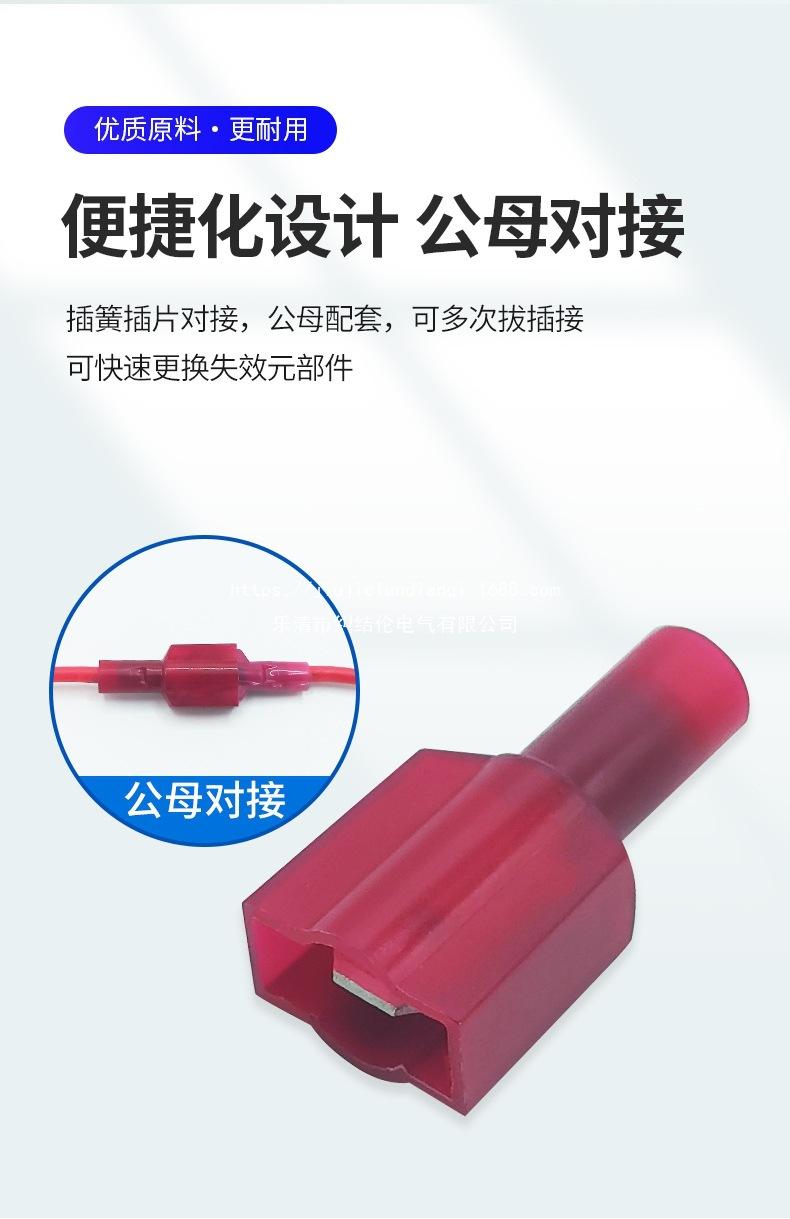 红插片1详情页_06.jpg