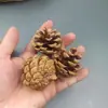 Decoración de piña piña bellota flor seca hecha a mano DIY creación de ambiente de bosque preescolar ramas secas adornos salvajes creativos