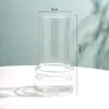 Florero de Vid Estilo Ins Nórdico Transparente Hidropónico Flor Seca Decoración del Hogar Sala de Estar Adornos Decorativos Galvanizados Venta al por Mayor