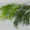 Plantas Verdes Artificiales, Hierba de Espárrago, Aspárago, Hierba del Aire, Pared de Flores para Bodas, Jardín de Monet, Decoración Suave, Paisajismo de Invierno, Arreglo Floral