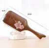Peine de Masaje Generoso de Alta Calidad Pintado Peine de Mango Largo 28 Dientes de Uña Peine de Mango Largo Peine con Cojín de Aire Elegante de Negocios Regalo