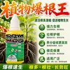 Rey Enraizante Líquido Enraizante Rápido Esquejes Trasplante Promueve el Enraizamiento Fortalece las Raíces Nutre las Raíces Flores Árboles Frutales Plantas Verdes Hogar