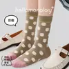 Calcetines de punto para otoño e invierno, nuevo estilo, bloques de color, lunares, a media pantorrilla, calcetines holgados, calcetines de algodón para mujer, calcetines sin costuras, estilo coreano