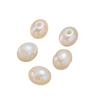 Cuentas de Acrílico Color AB Imitación Arce Natural Agujero Recto Perlas de Imitación Joyería Pendientes Coreanos Accesorios para Ropa Venta al por Mayor