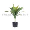 Plantas Verdes Simuladas en Maceta Estilo Nórdico Amazon Transfronterizo Grande de Pie Madera de Hierro Brasileño Milenio Sala de Estar Hotel Centro Comercial