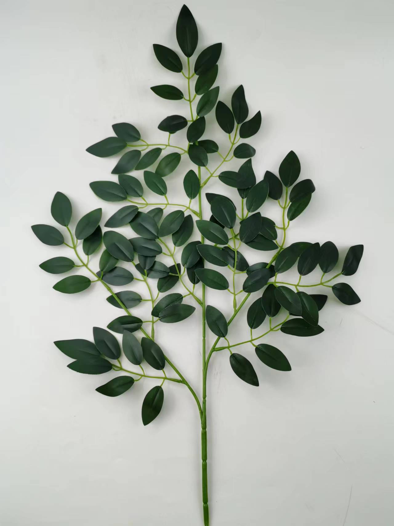 豆花叶 (10).jpg