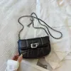 Bolso Plateado para Mujer 2025 Nuevo Diseño de Nicho Trendy Cadena Bolso de Hombro Sobaco Textura de Alta Calidad Bolso Cruzado Pequeño para Mujer