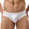 Ropa interior para hombre de comercio exterior, nailon, bolsa con soporte en U, bikini de cintura baja, color liso, sexy, calzoncillos tipo bóxer pequeños, ropa interior para niños, venta al por mayor