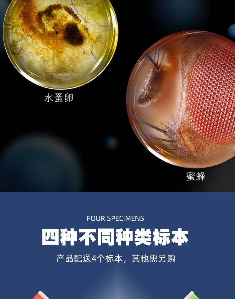 详情_10
