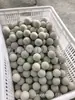Xiamen, Quanzhou e Fuzhou Fornecem Bolas de EVA e Bolas Coloridas de EVA.