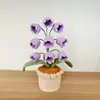 Venta Caliente Transfronteriza Flor de Lana Tejida a Mano con Orquídea Suzuki Simulada Adornos de Decoración para Escritorio del Hogar, Dormitorio
