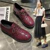 Zapatos Mary Jane de talla grande transfronterizos 2024 Primavera y Otoño Nuevos de boca poco profunda, punta redonda, con cordones, zapatos pequeños de cuero, tacón bajo, zapatos individuales casuales para mujer